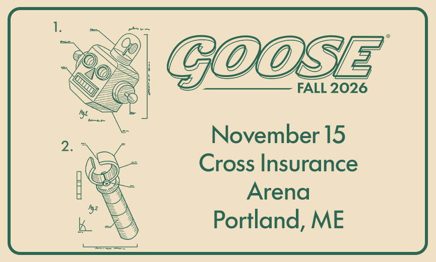 Goose