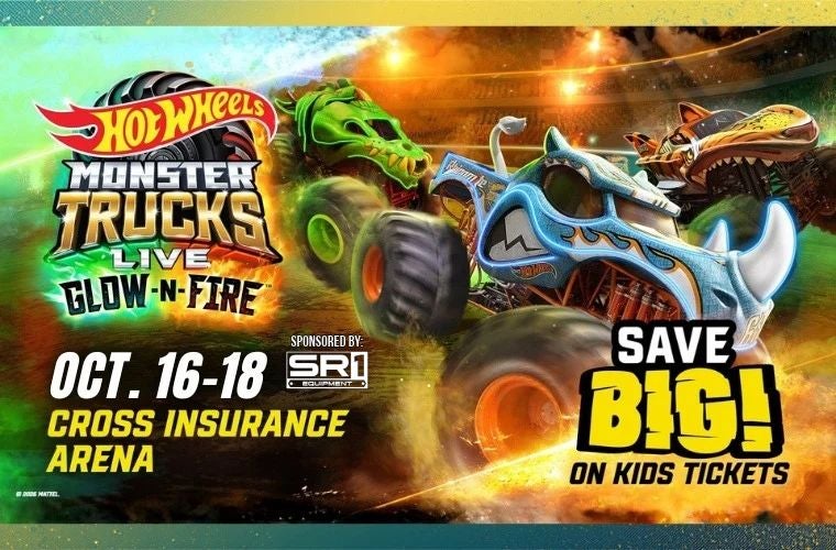 More Info for Hot Wheels Monster Trucks Live Glow-N-Fire