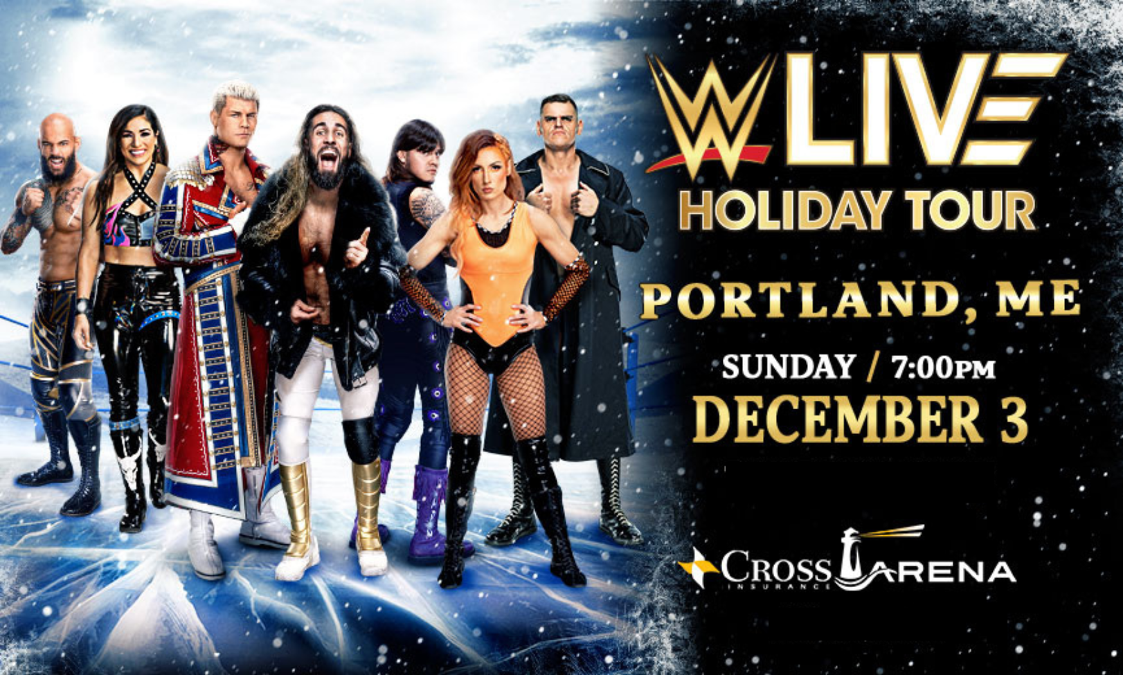 WWE LIVE Holiday Tour